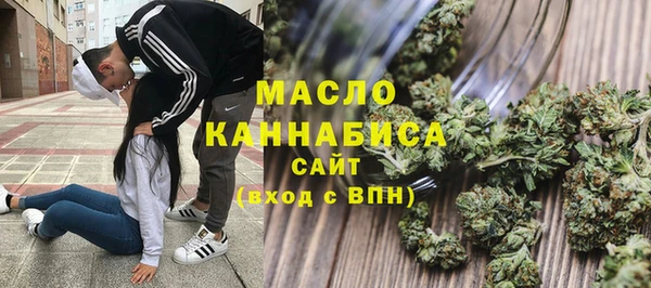ECSTASY Гусь-Хрустальный