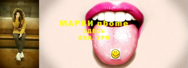 ECSTASY Гусь-Хрустальный