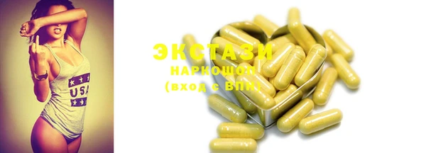 ECSTASY Гусь-Хрустальный