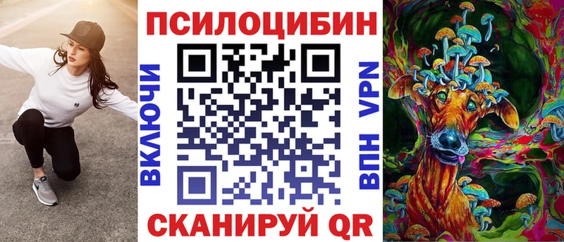 OMG как войти Можайск Псилоцибиновые грибы прущие грибы